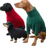 Hotterdog Jumper XSmall Green