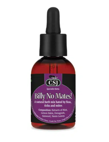 Billy No Mates – 50ml