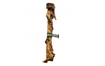 Anco Giant Bully Jerky Stick