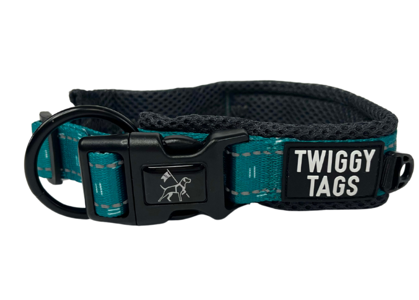 Twiggy Tags Tranquil Collar Size 3