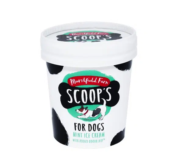 Scoops Mint Ice Cream 125ml