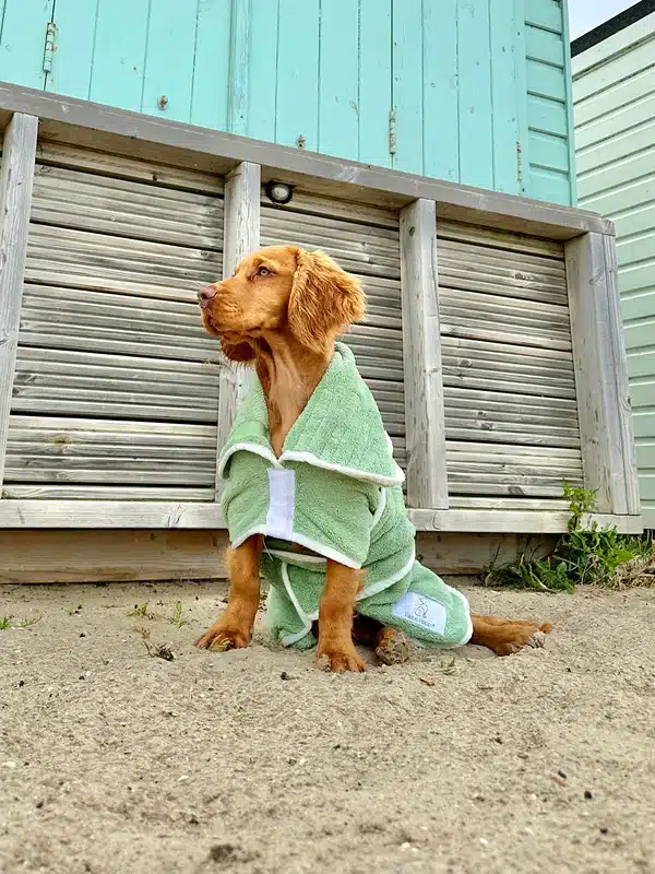 Pastel Pooch Boutique XXXLarge Drying Coat Sage Green