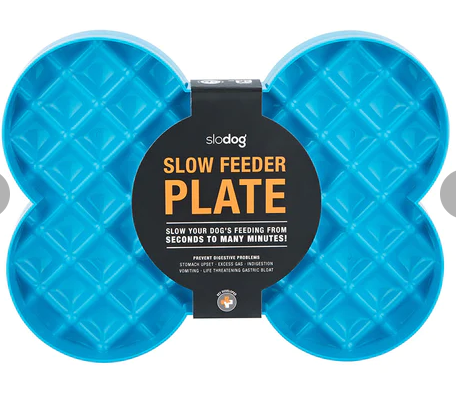 Slow Feeder Plate Blue Small