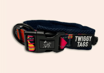 Twiggy Tags Aurora Adventure Collar Size 1