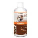Lucca Shampoo