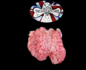 The Dogs Butcher Lamb Brains x6