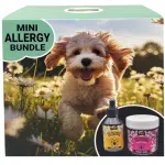 Proflax Mini Allergy Bundle