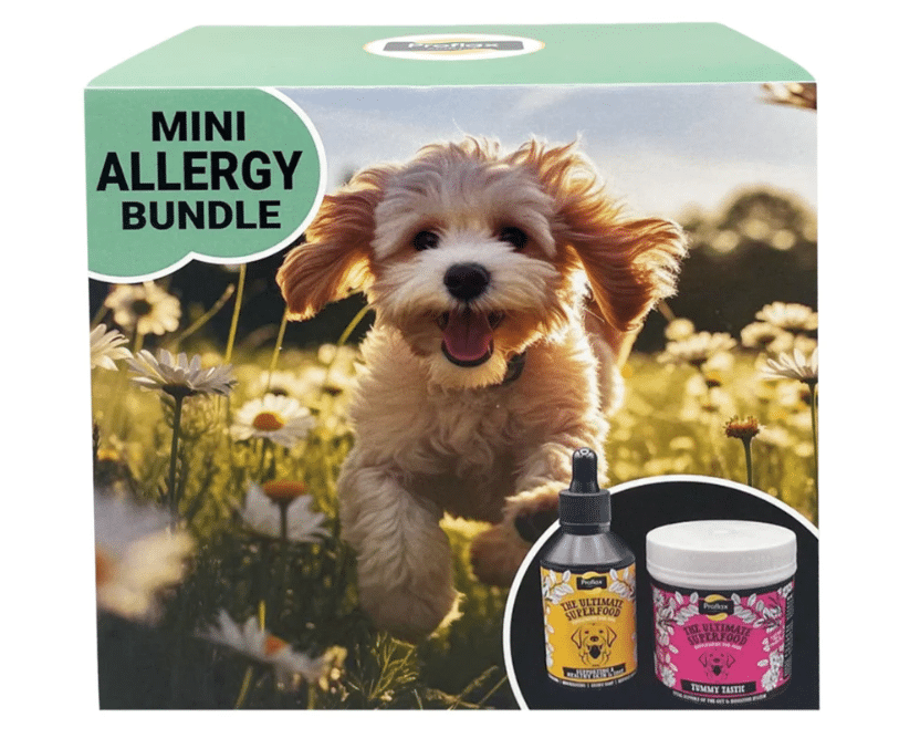 Proflax Mini Allergy Bundle