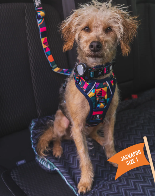 Twiggy Tags Aurora Adventure Harness Size 1 - Image 2