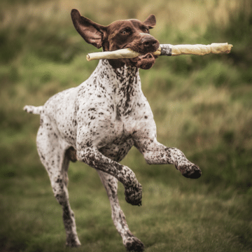 Anco Naturals Giant Bully Roll
