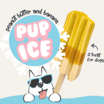 Canine Menu Pup Ice Lollies
