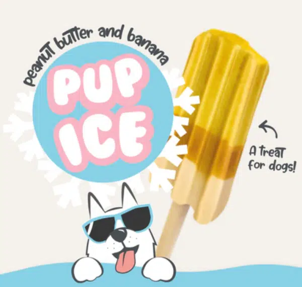 Canine Menu Pup Ice Lollies