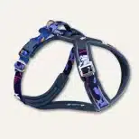 Twiggy Tags - Apex Nebula Harness - Size M
