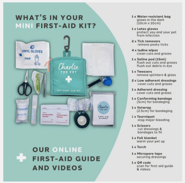 Charlie the Vet Mini First Aid Kit - Image 2