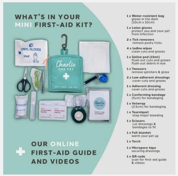 Charlie the Vet Mini First Aid Kit - Image 2