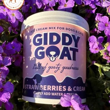 Giddy Goat - Strawberries & Cream