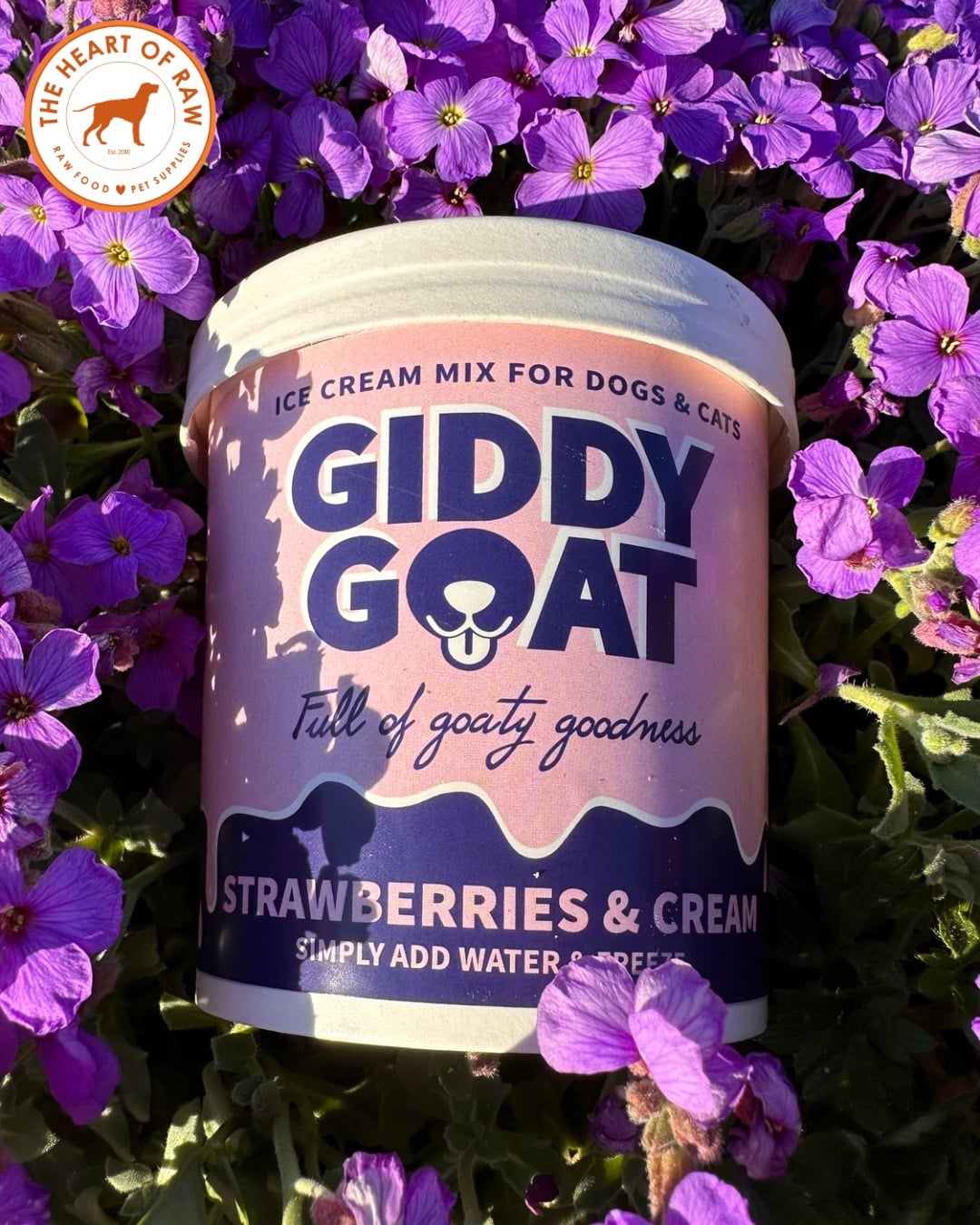 Giddy Goat – Strawberries & Cream