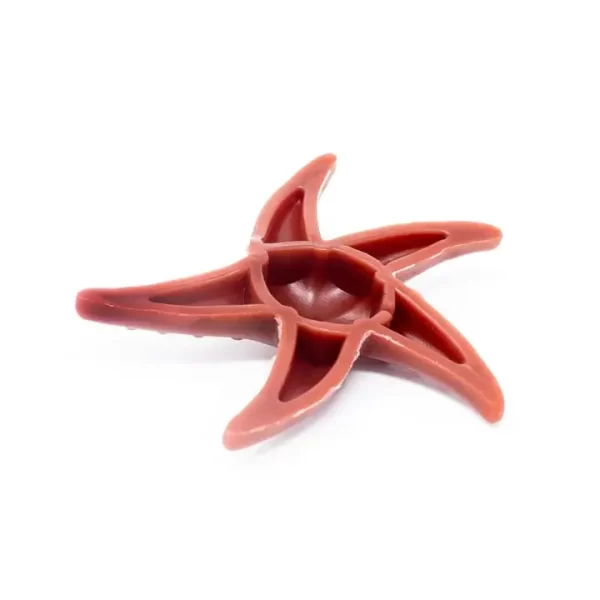 Apple, Broccoli And Mint Starfish - Image 3