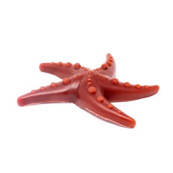 Apple, Broccoli And Mint Starfish - Image 2