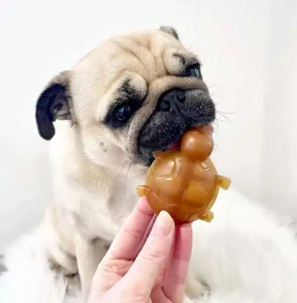 Sweet Potato And Peanut Butter Turtle