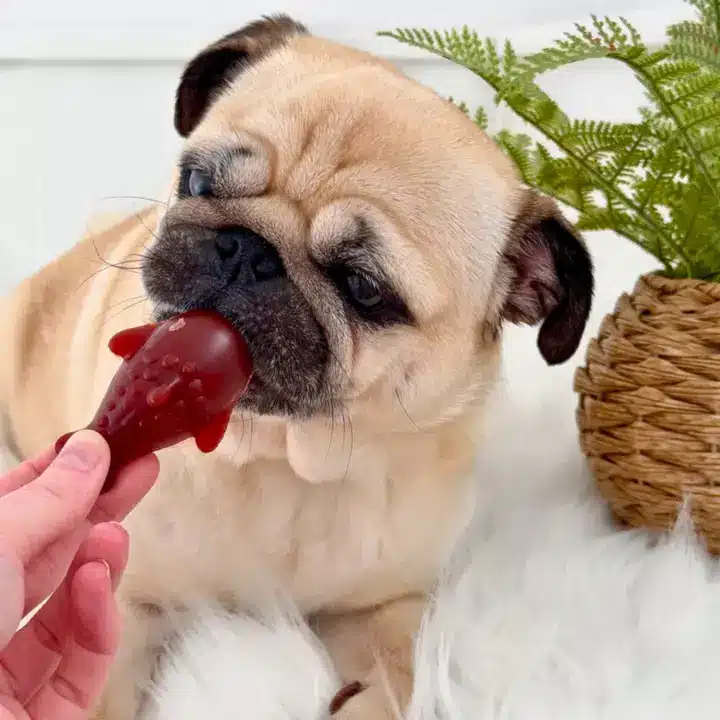 Strawberry And Banana Dolphin Chew