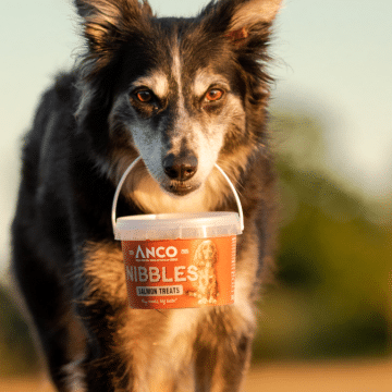 Anco Nibbles Salmon Treats 300g