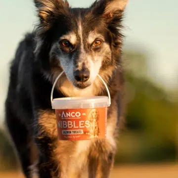 Anco Nibbles Salmon Treats 300g