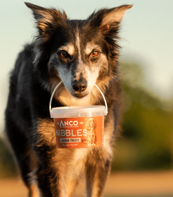 Anco Nibbles Salmon Treats 300g