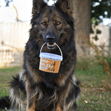 Anco Nibbles Chicken Treats 300g