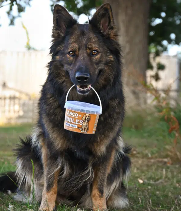 Anco Nibbles Chicken Treats 300g