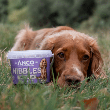Anco Nibbles Turkey Treats 300g