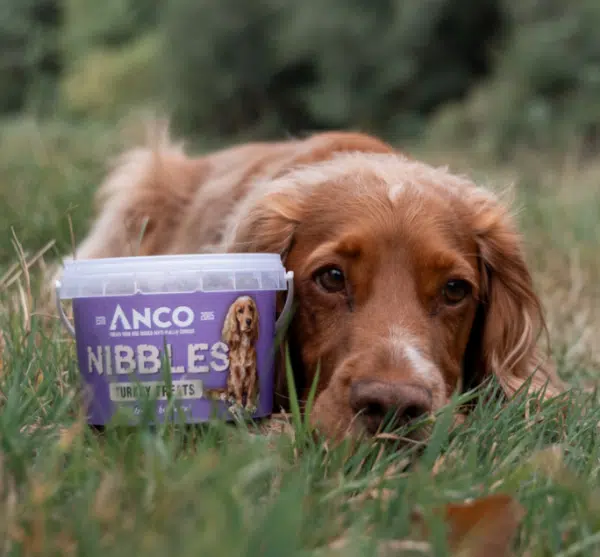 Anco Nibbles Turkey Treats 300g