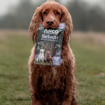 Anco Selects Turkey Strips with Collagen 85g