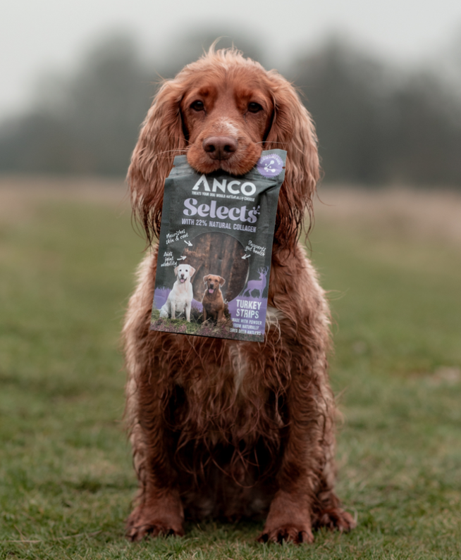 Anco Selects Turkey Strips with Collagen 85g