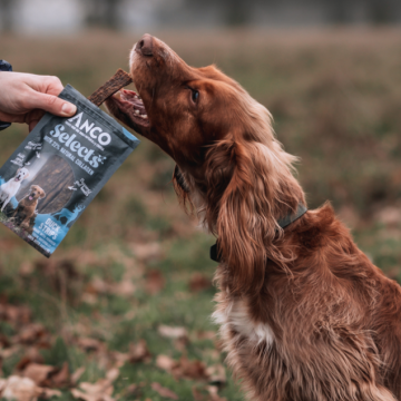 Anco Selects Duck Strips with Collagen 85g