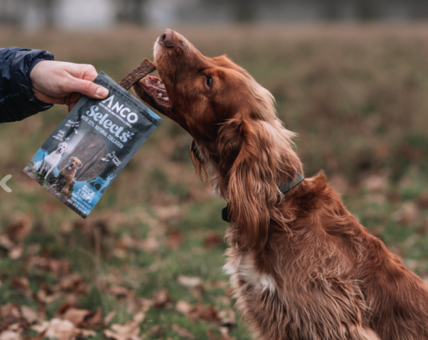 Anco Selects Duck Strips with Collagen 85g