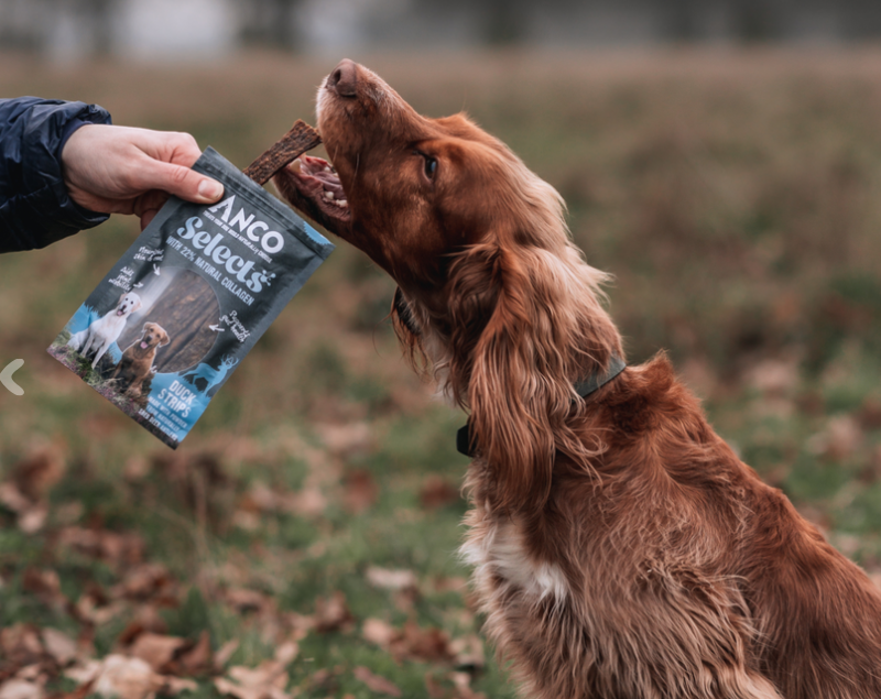 Anco Selects Duck Strips with Collagen 85g