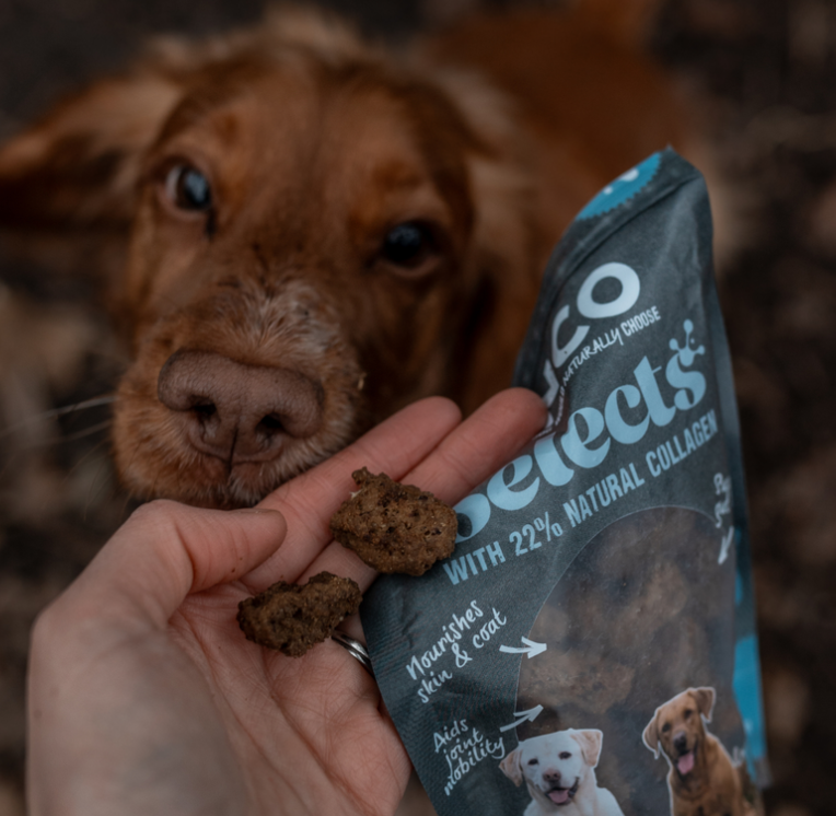 Anco Selects Duck Bites with Collagen 85g