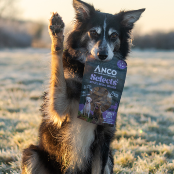 Anco Selects Turkey Bites with Collagen 85g