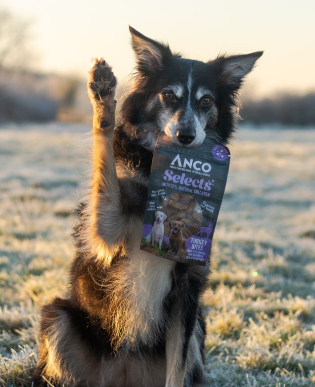 Anco Selects Turkey Bites with Collagen 85g