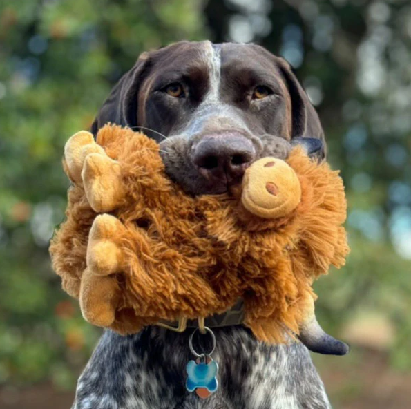 Tall Tails Plush Highland Cow - Image 4