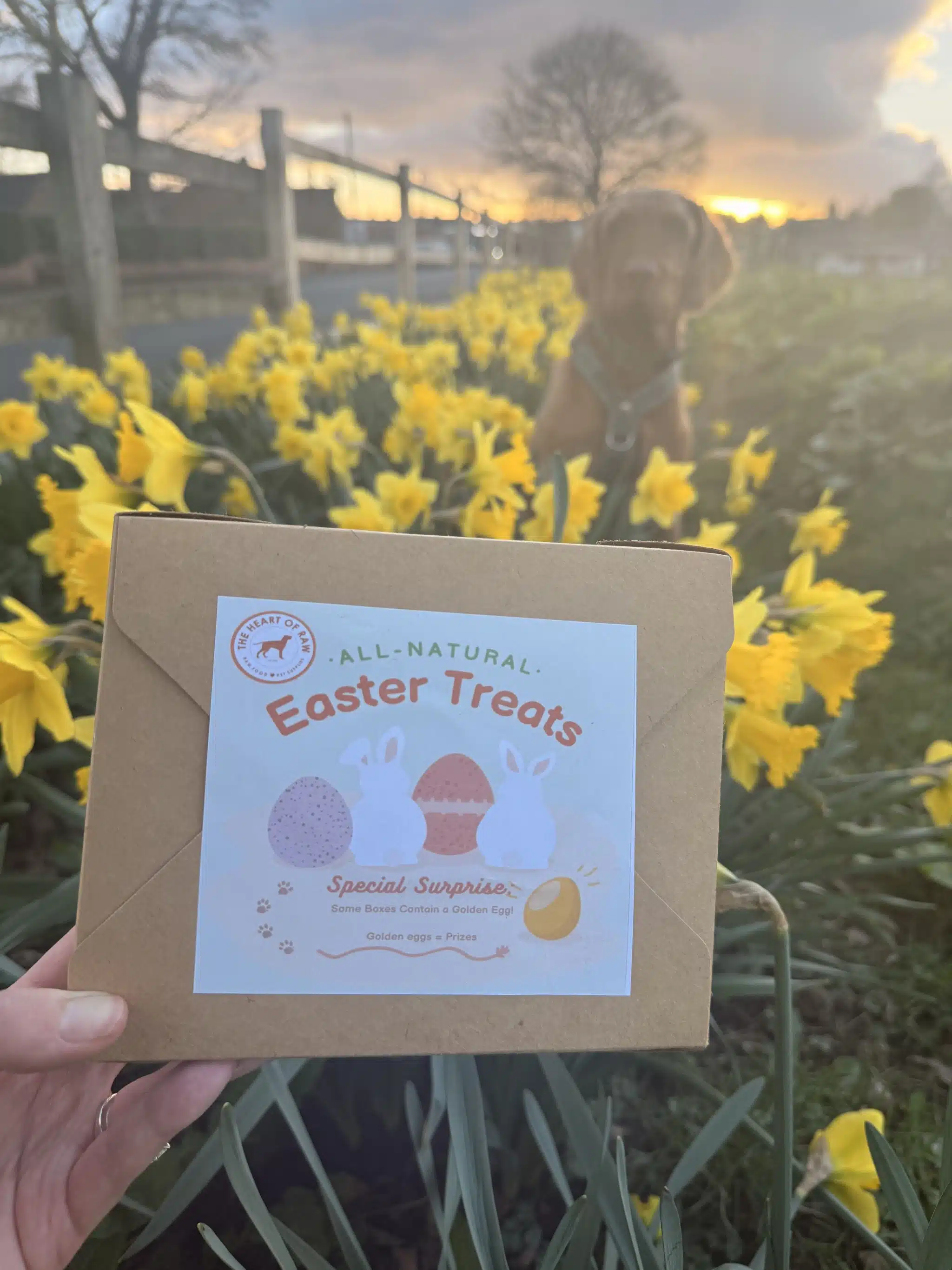 Easter Treat box - Can you find a Golden Egg? - Image 2