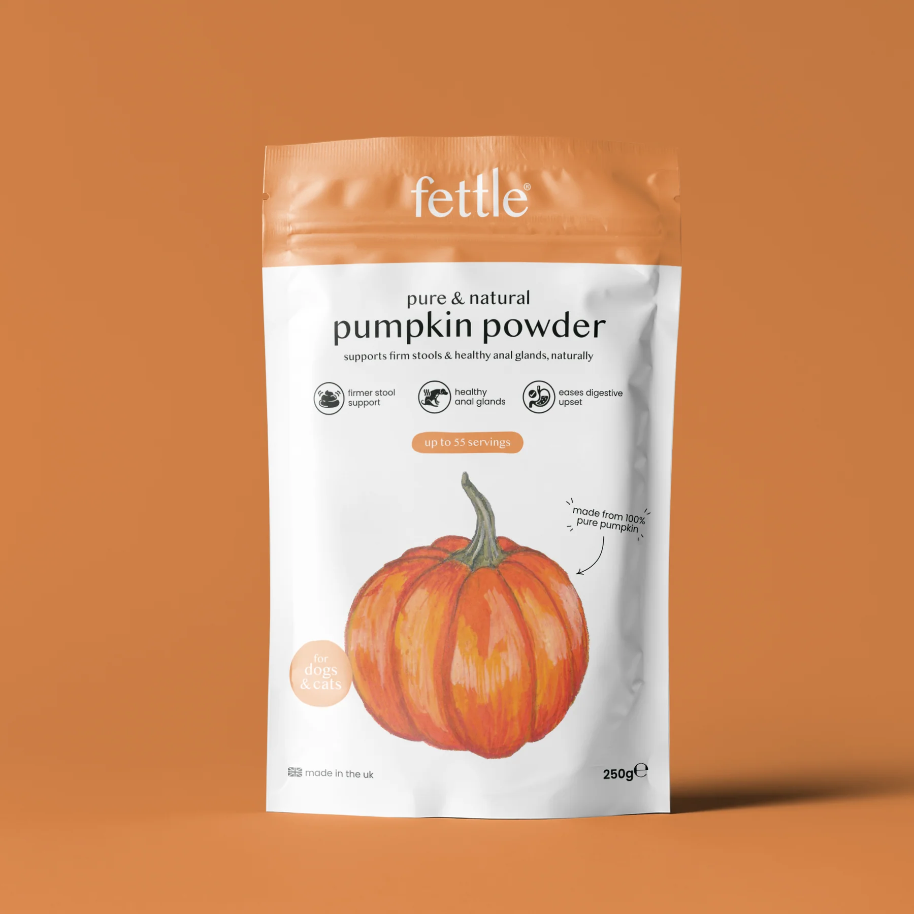 Fettle Pumpkin Powder 250g