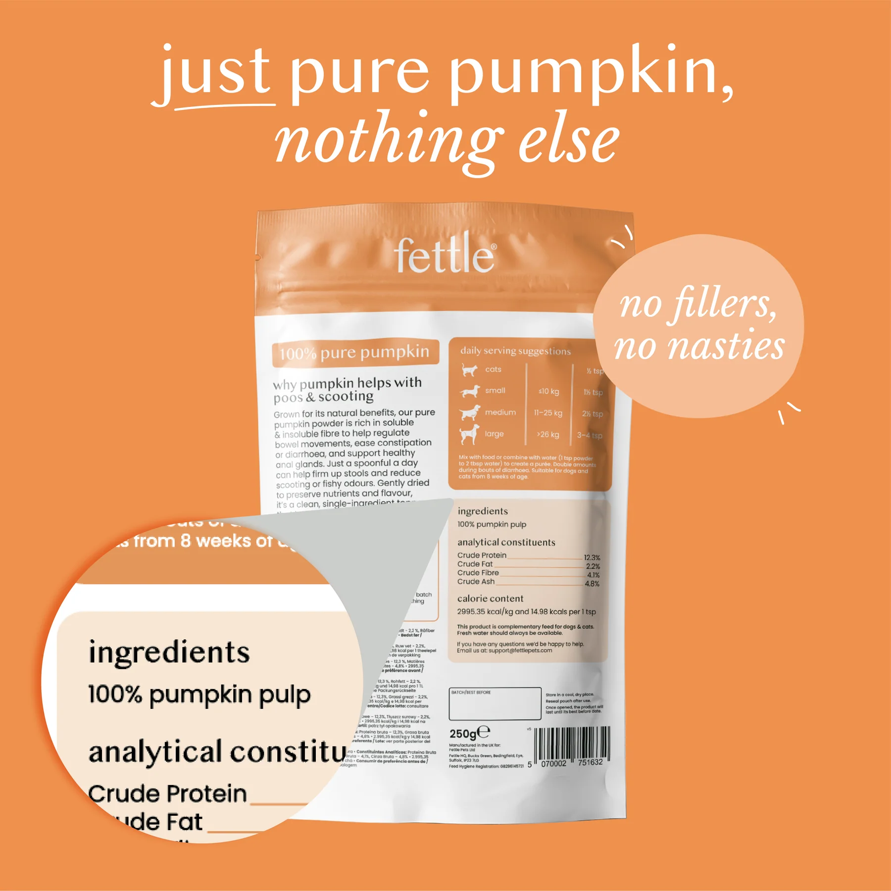 Fettle Pumpkin Powder 250g - Image 2