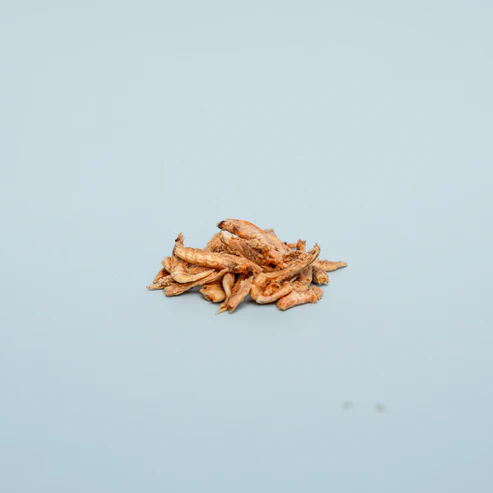 Waita Whole Krill 40g - Image 3
