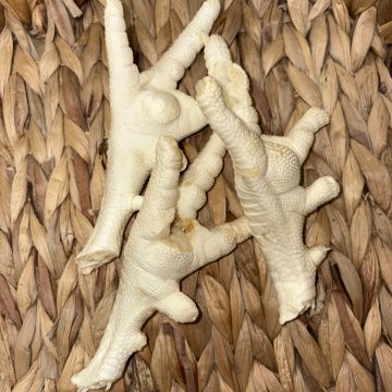 Anco XL Single Puffed Chicken Foot
