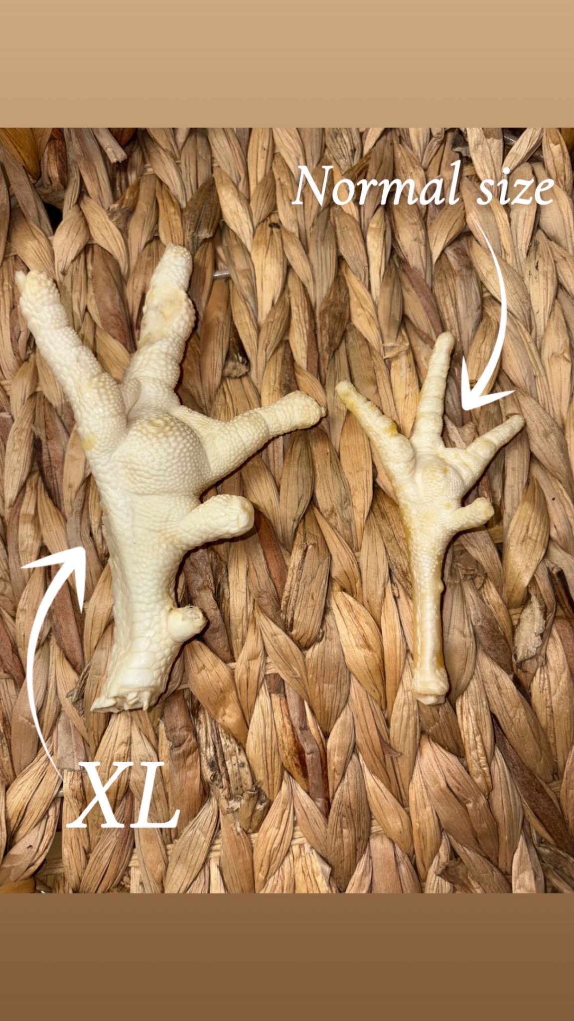 Anco XL Single Puffed Chicken Foot - Image 2