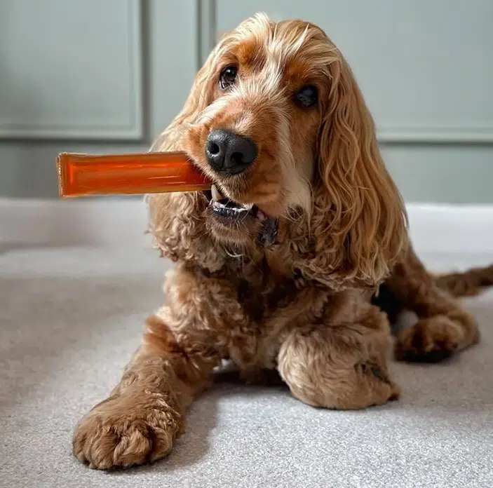 Brothies Medium Beef Bone Broth Dog Chew - Image 2
