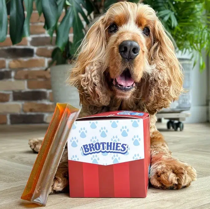 Brothies Medium Beef Bone Broth Dog Chew - Image 3